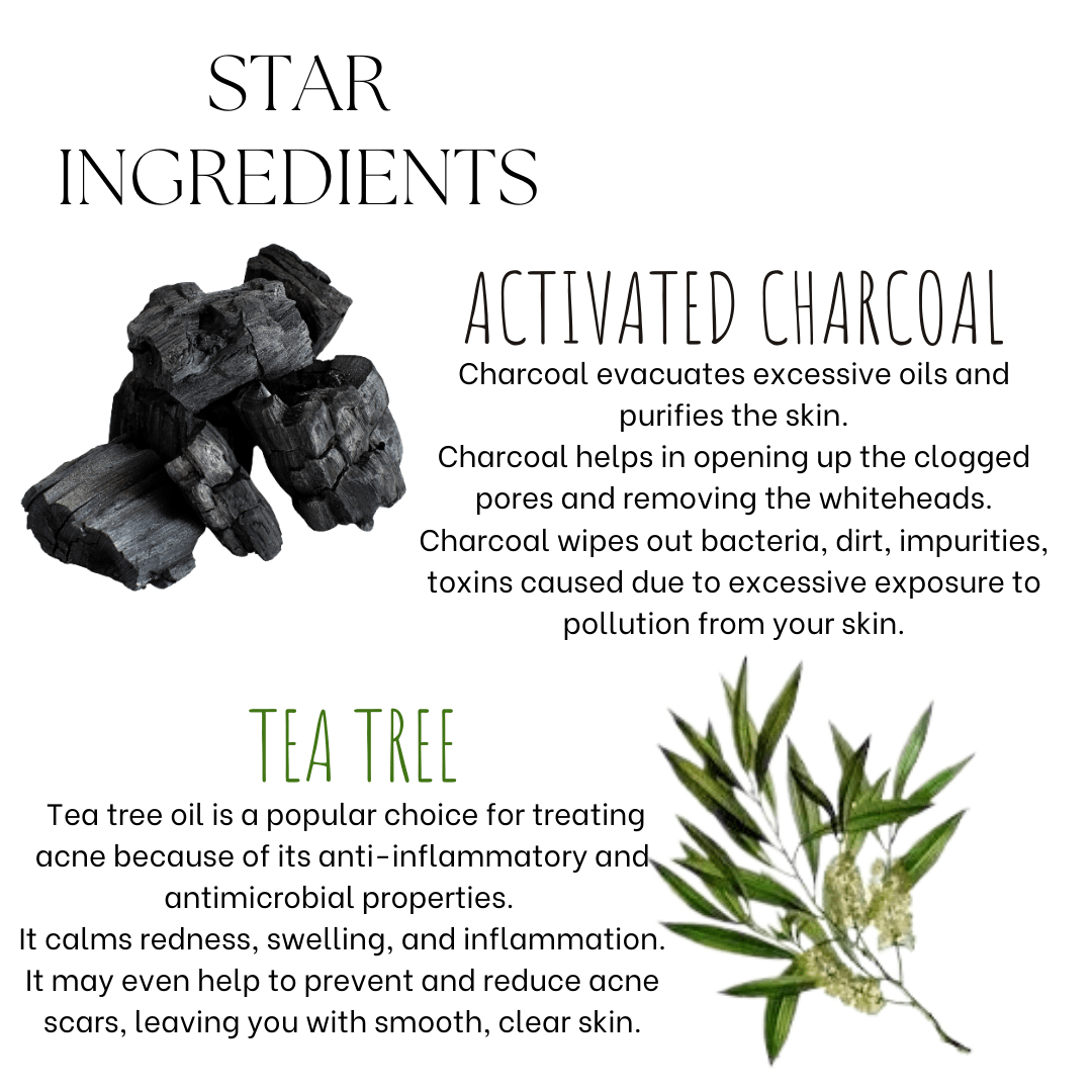 Activated Charcoal Tea tree Detoxifying Face Wash - EcoBerry