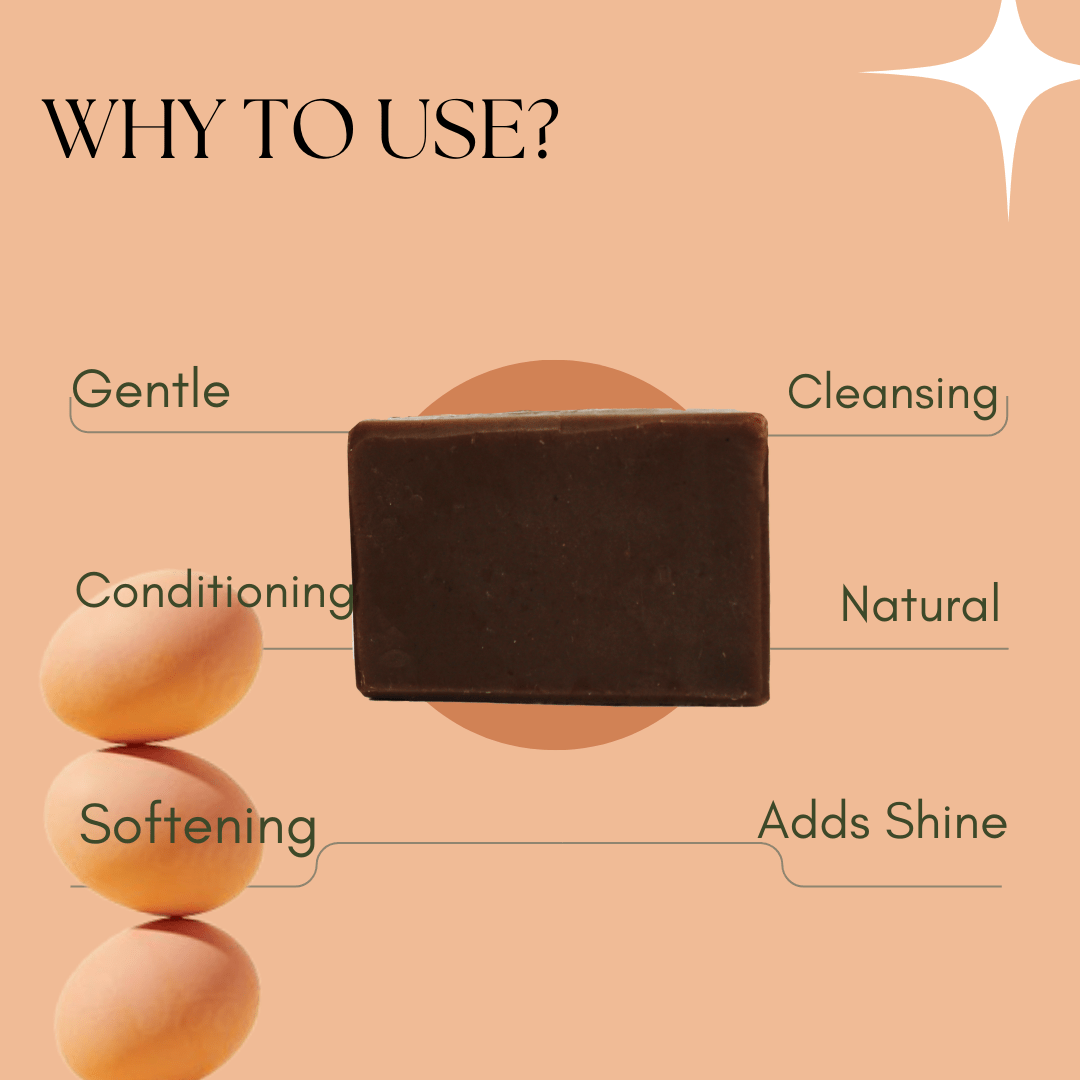 Egg Apple Cider Vinegar Senna Shampoo Bar - EcoBerry