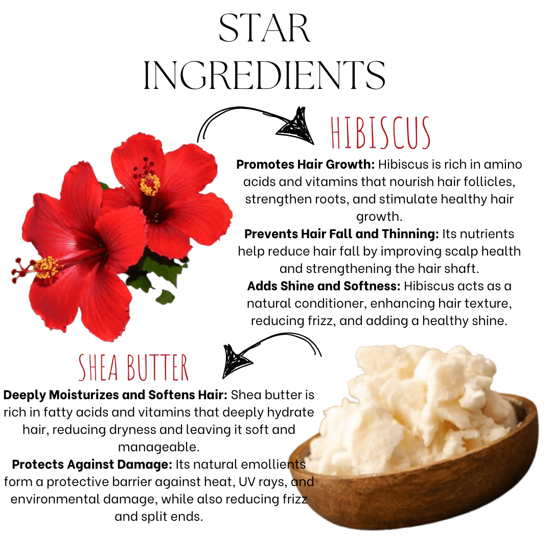 Moroccan Argan Hibiscus Hair Soothening Conditioner - EcoBerry