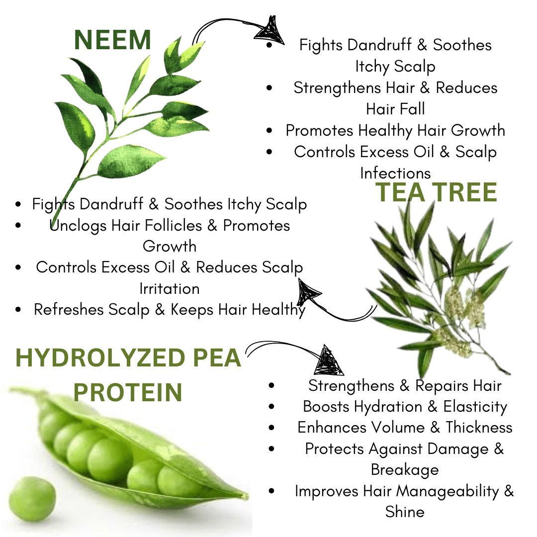 No No Dandruff Solid Shampoo Bar - EcoBerry - Ingredients