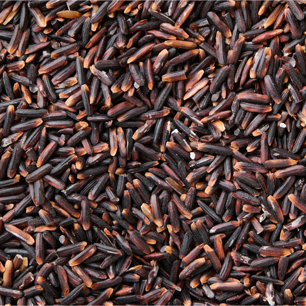 Black Rice Milk Extract