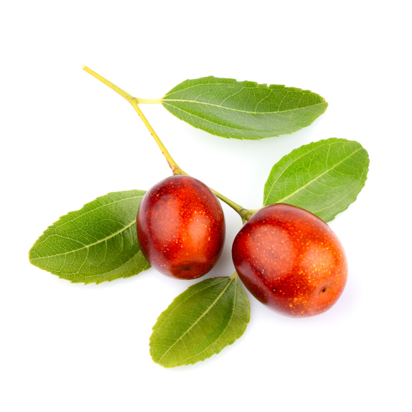 Jojoba Oil
