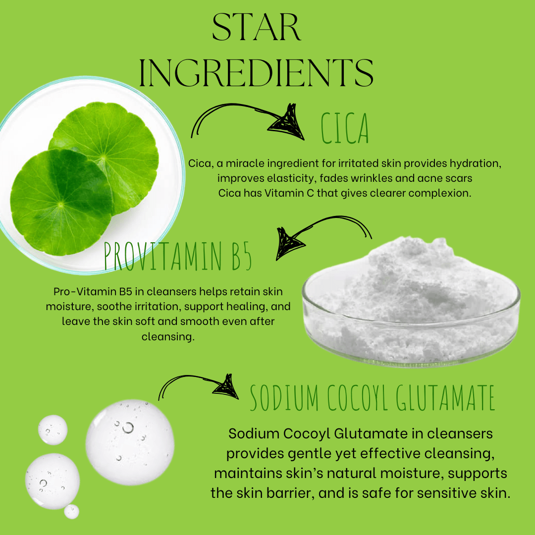 Centella Asiatica (CICA) Soothing Gel Cleanser - EcoBerry