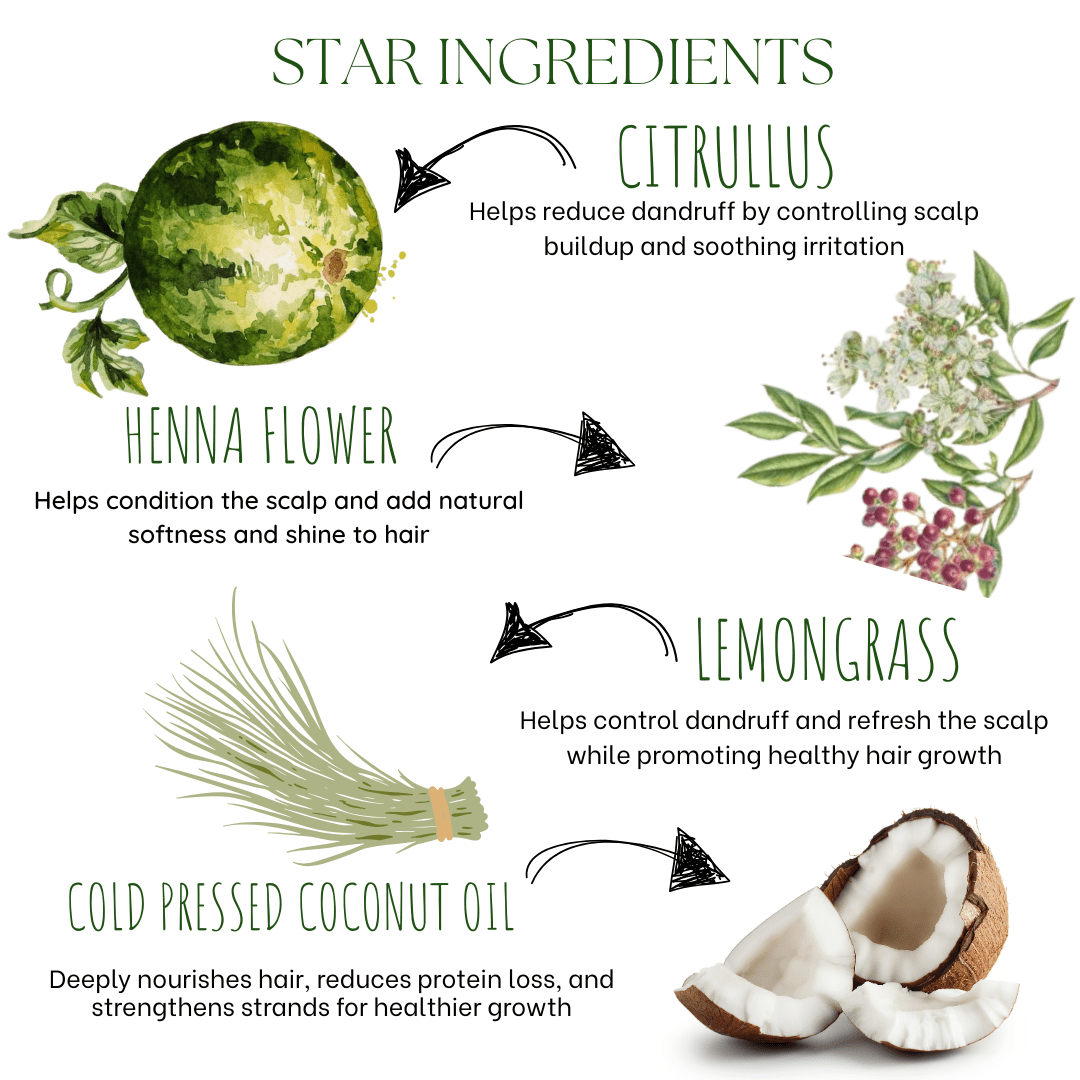 Citrullus (Kumattikai) Anti Dandruff Hair Oil - EcoBerry