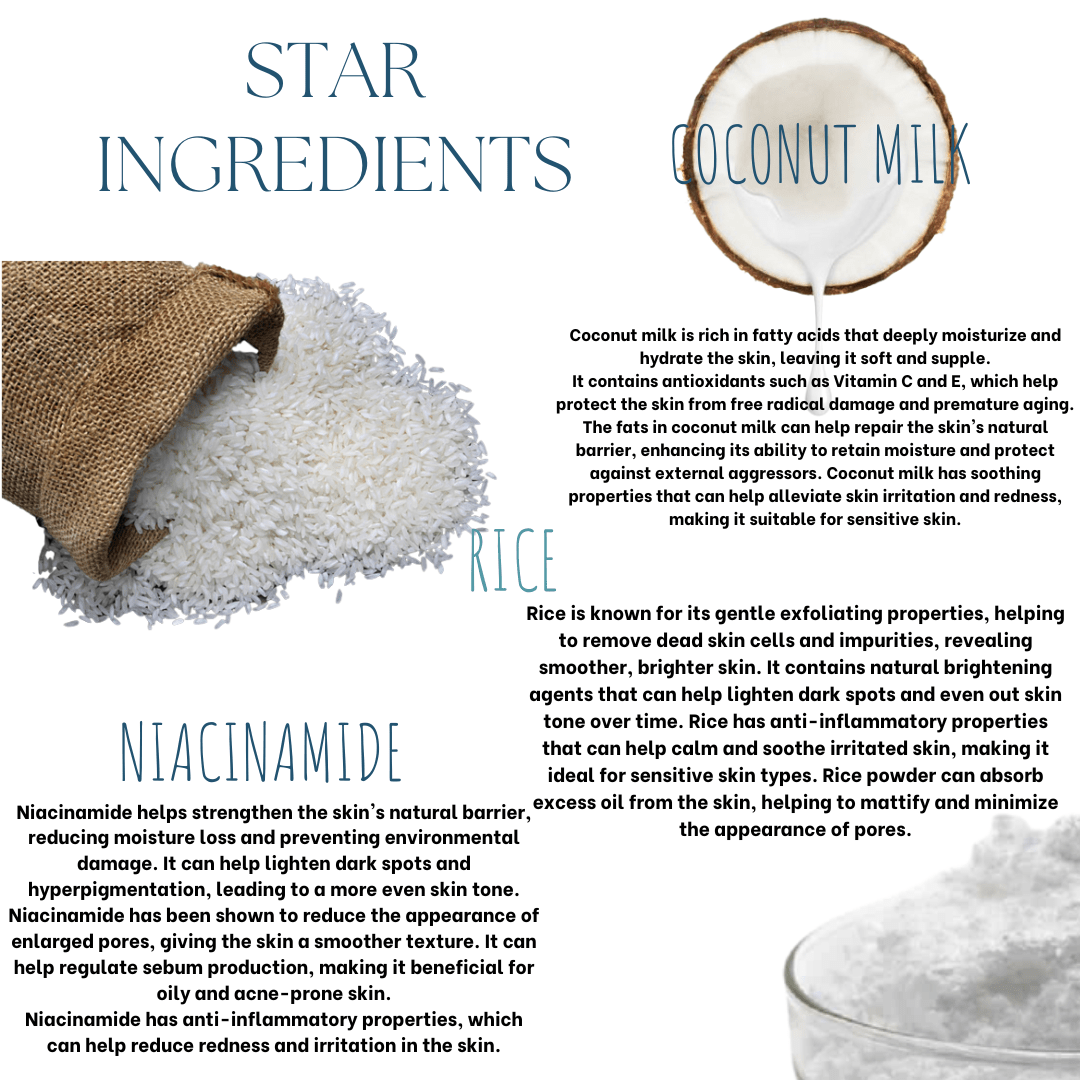 Rice Coconut Milk Face Wash Powder - EcoBerry - Ingredients